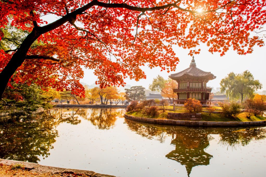 Autumn In Gyeongbokgung Palace, Seoul In South Korea Autumn In Gyeongbokgung Palace, Seoul In South Korea