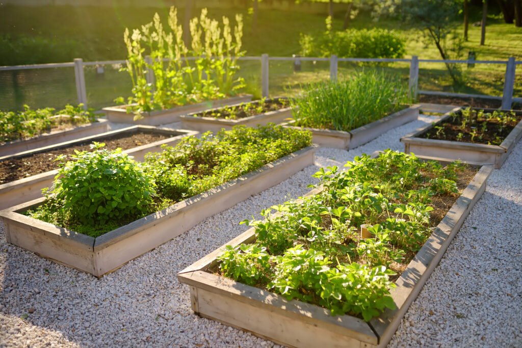 Detroit urban farming initiative transforming the cityscape