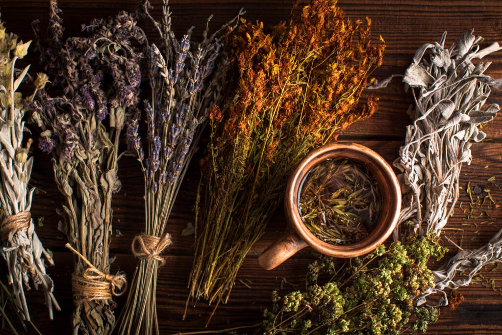 flat-lay-cup-herbal-tea-with-plant