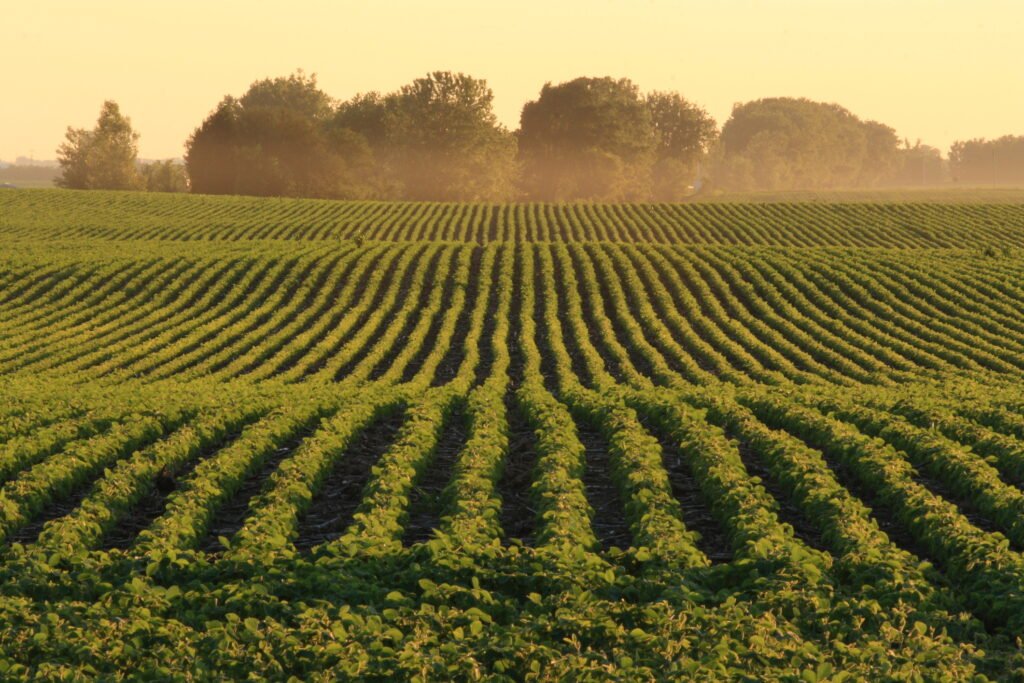 Des Moines farm-to table journey