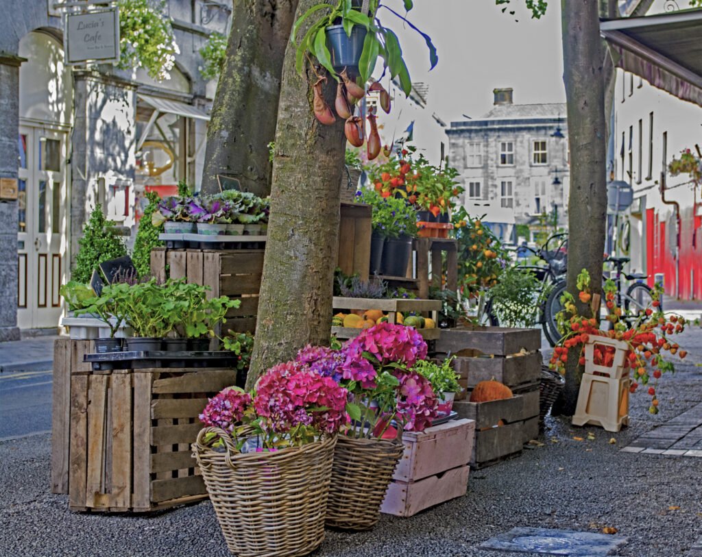 Galway food markets