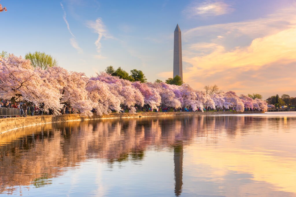 Washington DC, USA At The Tidal Basin With Washington Monument In Spring Season
