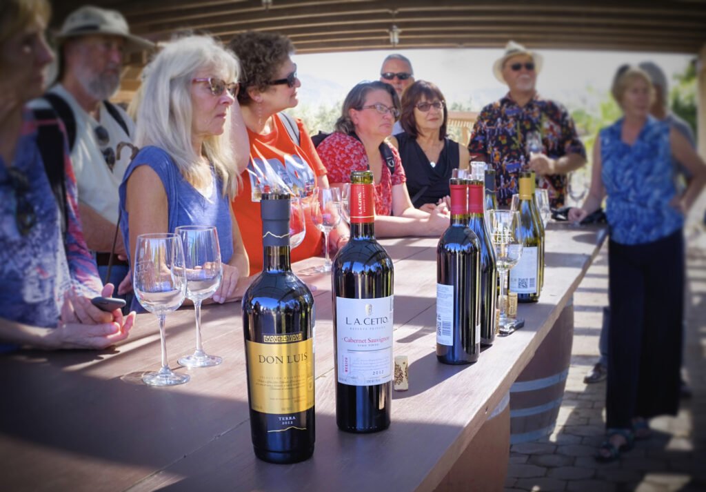 wine-tasting-guadalupe-valley-mexico-069292038535