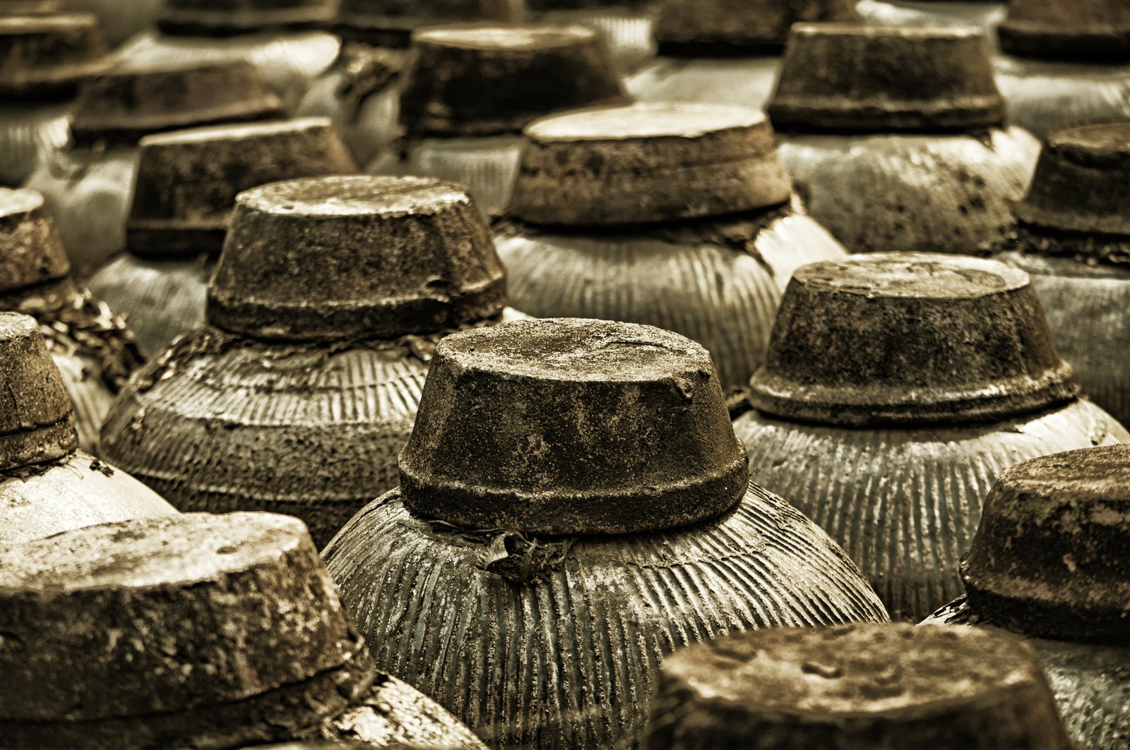 clay-pots-holding-soy-sauce-wuzhen-china-36593938565