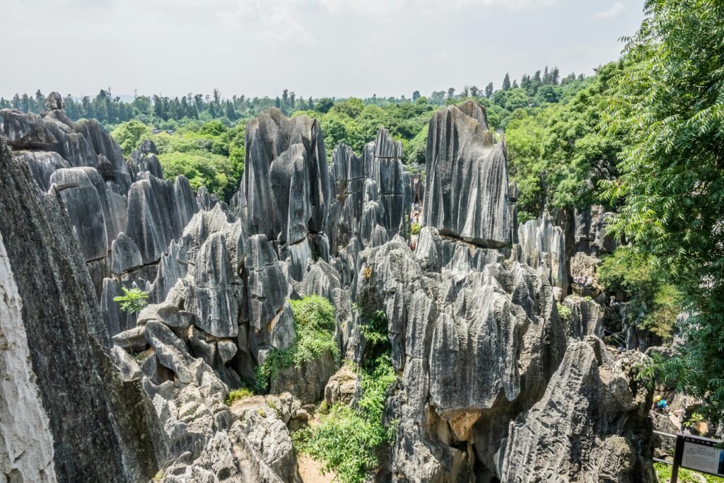 Explore the dramatic rock formations of China's Naigu Stone Forest, a stunning natural wonder.