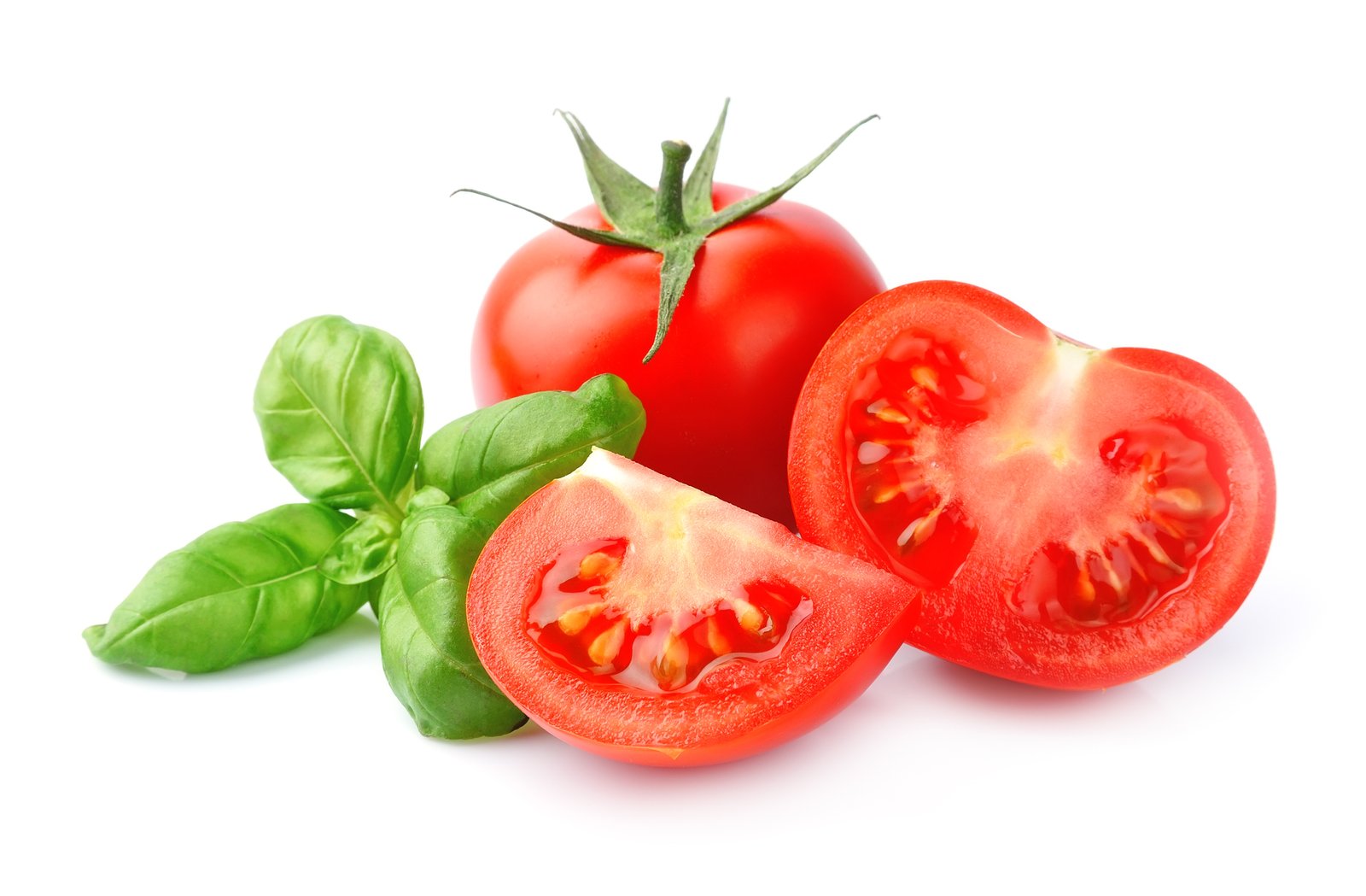 tomato-and-basil-leaves-91744472920